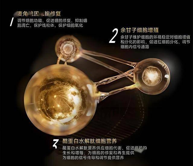 ic外汇官方网址这一堂课揭开了期货量化交易编程的神秘面纱，让我顿悟了不少秘诀